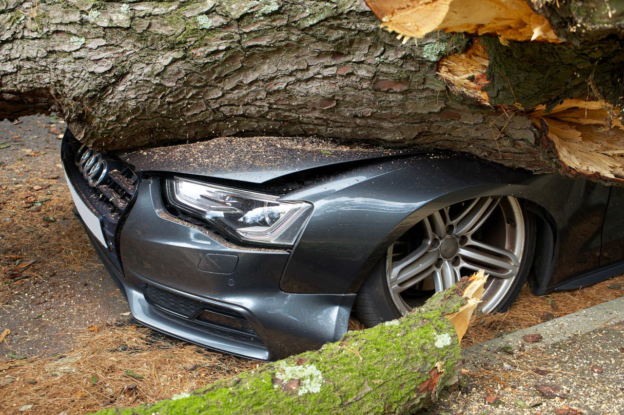 Rental car damaged by a fallen tree, illustrating a potential car-hire insurance claim.