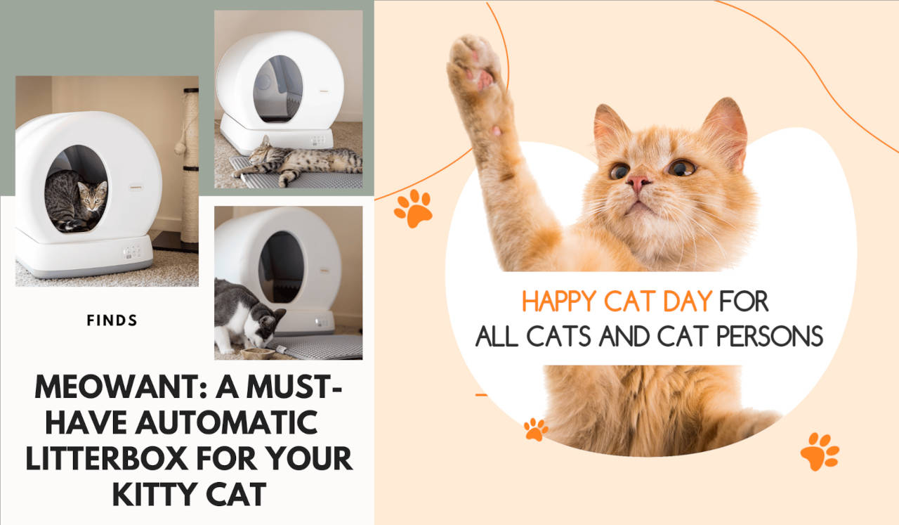 Meowant automatic self-cleaning litter box promotional collage featuring cats using the device, alongside an orange cat celebrating Happy Cat Day.