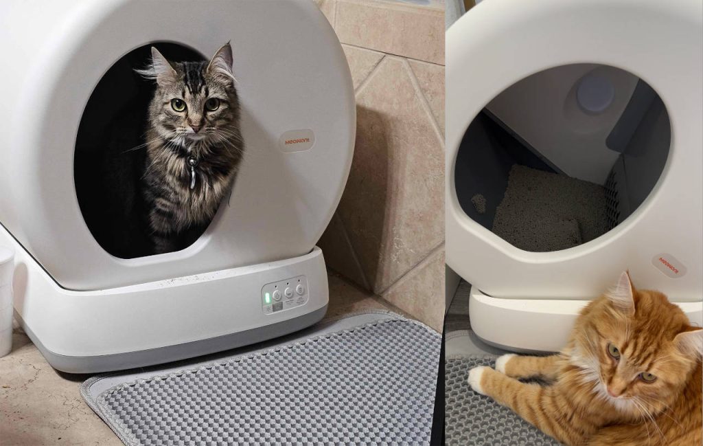 Two cats beside a Meowant automatic self-cleaning litter box, with a tabby cat sitting inside the unit and an orange cat resting nearby.